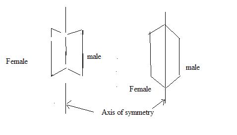 test.JPG