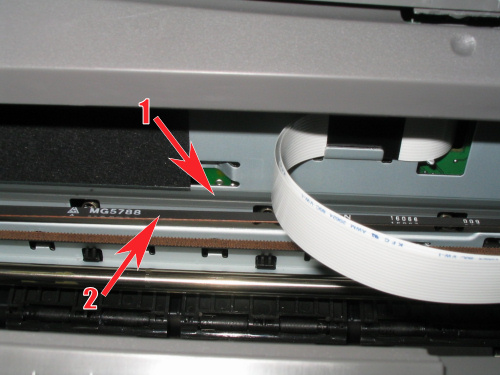 Encoder_strip.jpg