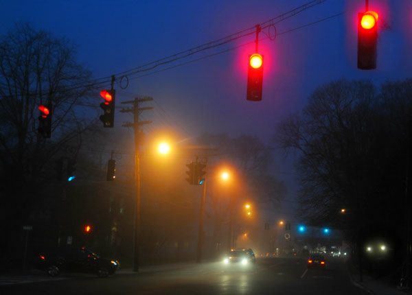 (Image: Diana Lee Angstadt/Flickr/Getty)