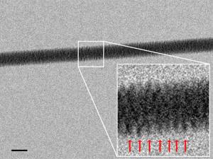 It may be why life is screwed up (Image: Enzo di Fabrizio)