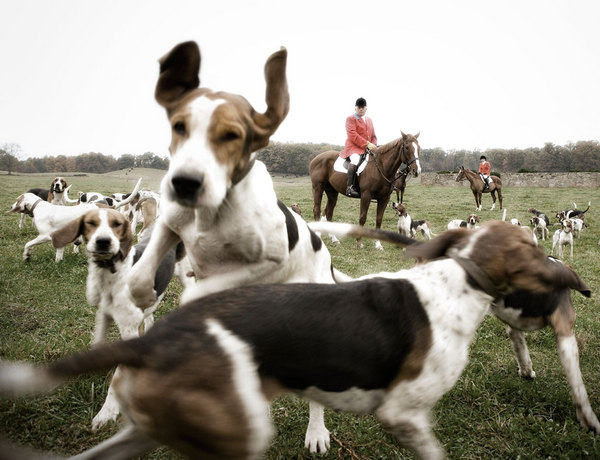(Image: Keith Barraclough/NGS/Getty)
