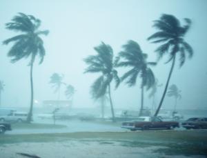 Under the weather (Image: Johner/Plainpicture)