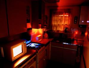 The appliance of science (Image: Mark Guthrie/ Millennium)