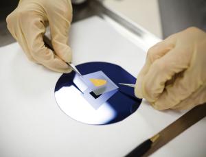 Nurturing nanotubes Image: Lianne Milton/NYT/Redux/Eyevine)
