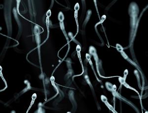 One direction? (Image: Sciepro/Science Photo Library)