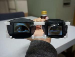 Are you lookin' at me? (Image: University of Tsukuba)