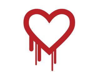 A huge lapse in web security