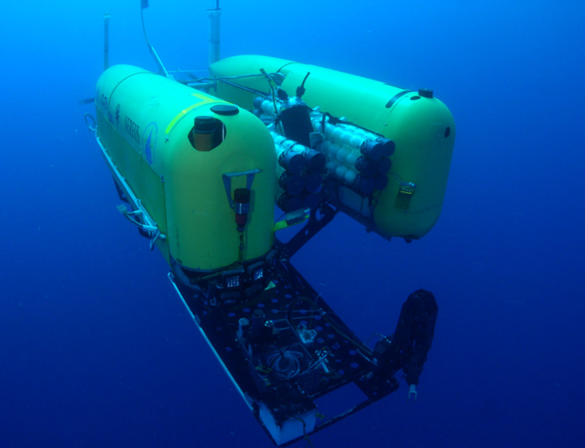 (Image: Advanced Imaging and Visualization Lab, Woods Hole Oceanographic Institution)