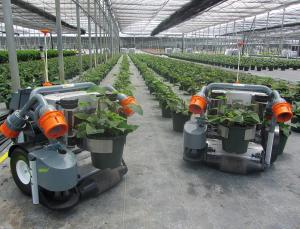 Horticultural helpers (Image: Harvest Automation)