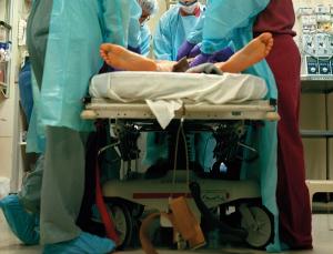 Faster than a medic (Image: Aurora Photos/Alamy)