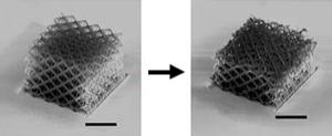 Alumina nano-lattices can be compressed without going to bits (Image: L. R. Meza, S. Das, J. R. Greer)