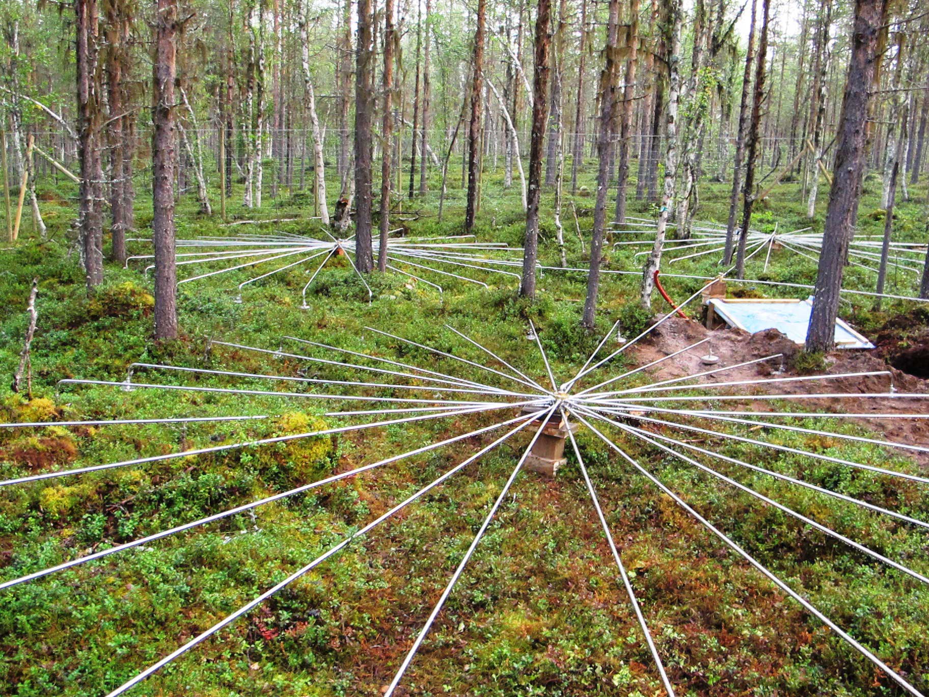 (Image: NORSAR)