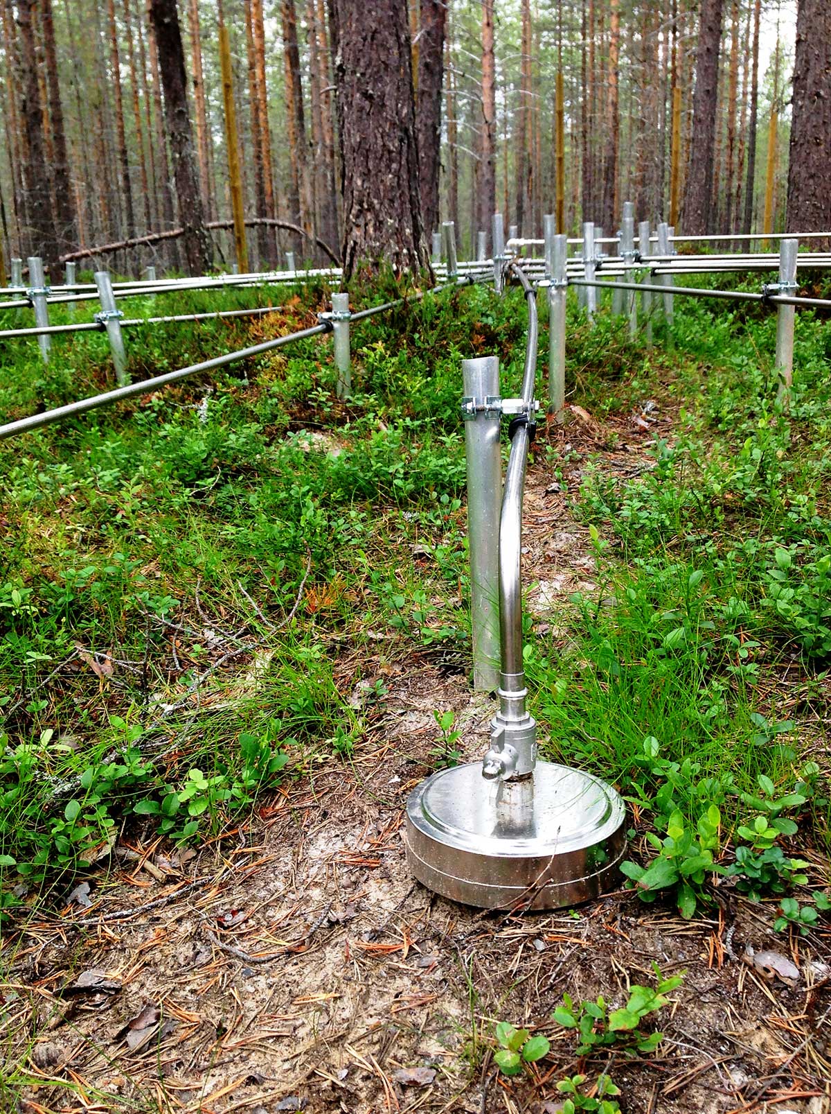 (Image: NORSAR)