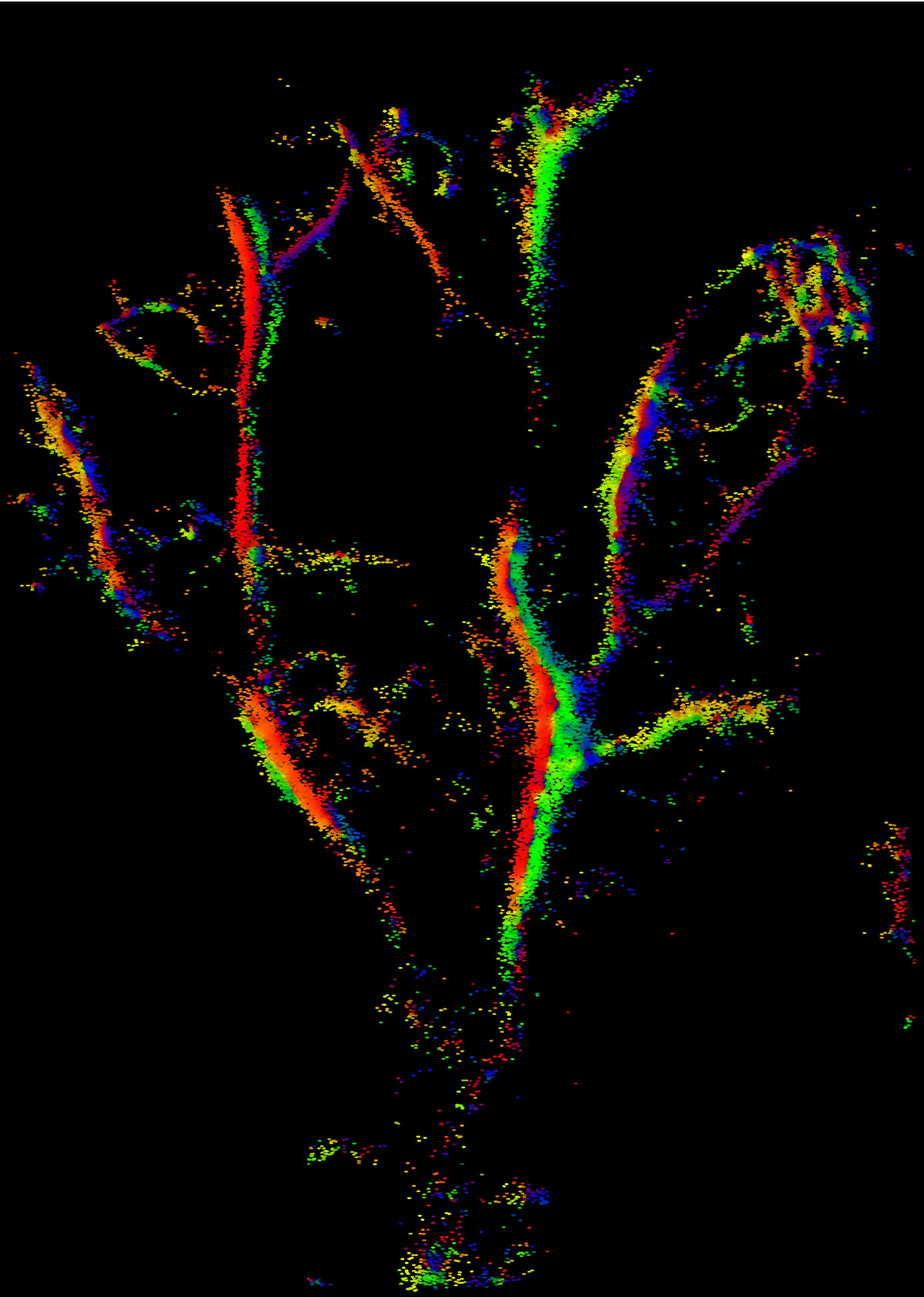 (Image: Kirsten Christensen-Jeffries/King's College London)
