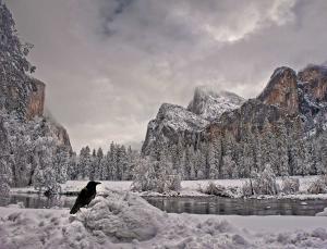 Take a wild guess... (Image: Jerry Burke/National Geographic Creative)