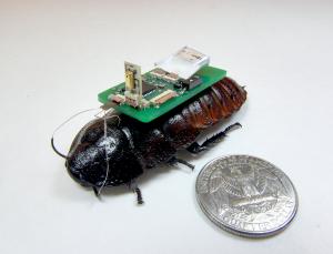 Whew, the first responder just crawled up (Image: Eric Whitmire/NCSU)