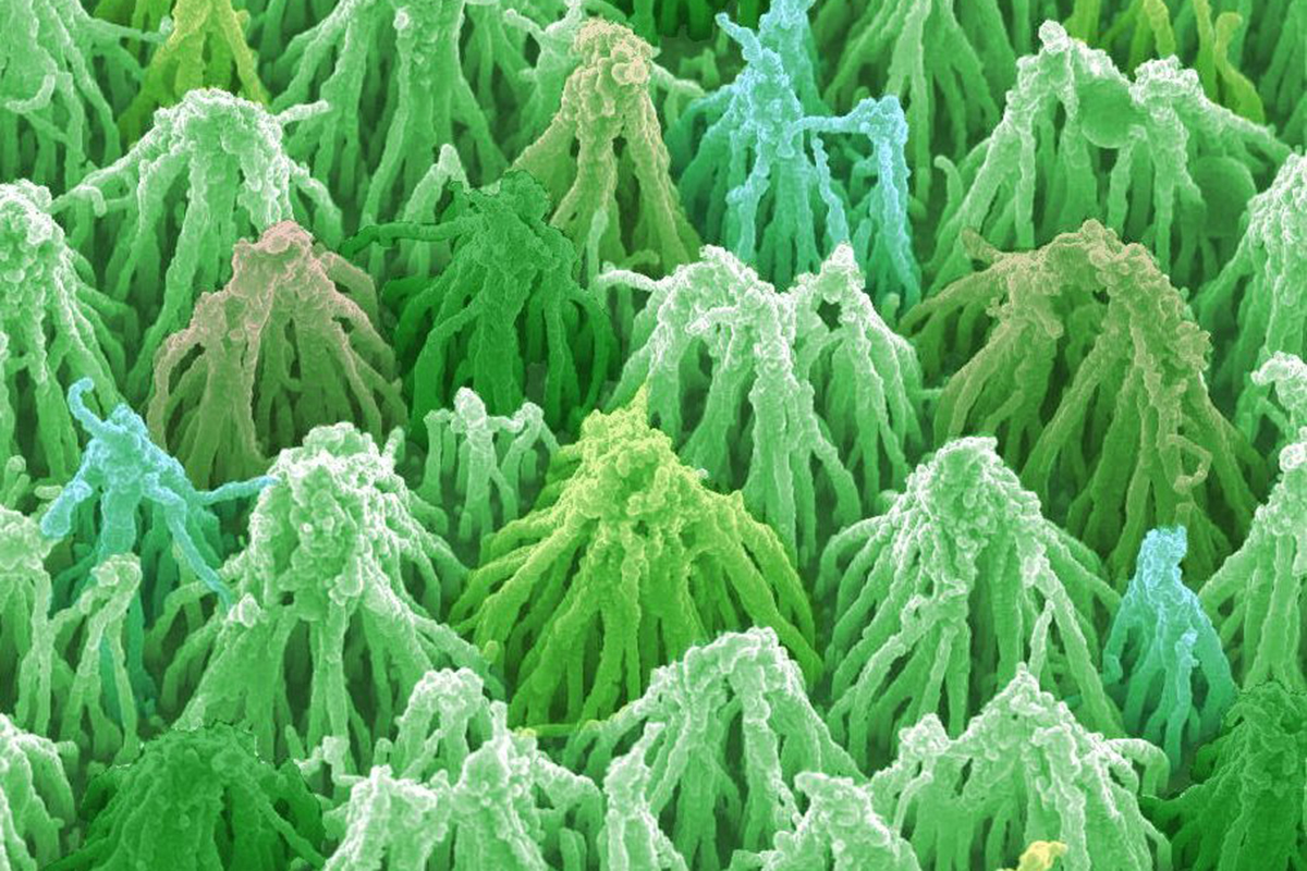 (Image: Engineering and Physical Sciences Research Council)